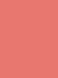 OnColour Balsamo Labial Blush Pink 4g