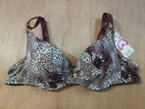 Brasier 8956