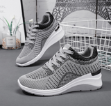 GN23-Gris